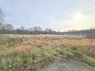Działka Jabłów gm. Stare Bogaczowice - 5