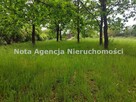 Działka Szczawno-Zdrój - 6