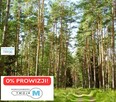 Działka leśna Chmielnik Sędziejowice - 1