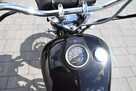Suzuki Savage - 11