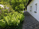 Dom Janki - 3