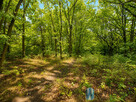 Działka budowlana Radom, Skrajna - 4