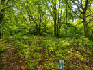 Działka budowlana Radom, Skrajna - 6