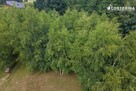 Działka budowlana Piechowice gm. Dziemiany - 1