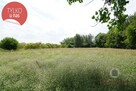 Zadrzewiony grunt rolny, 1,73 ha przeliczeniowych - 2