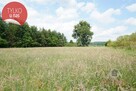 Zadrzewiony grunt rolny, 1,73 ha przeliczeniowych - 3