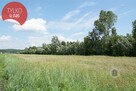 Zadrzewiony grunt rolny, 1,73 ha przeliczeniowych - 4