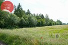 Zadrzewiony grunt rolny, 1,73 ha przeliczeniowych - 5
