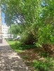 3-pokojowe mieszkanie na Żoliborzu - 10