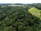 Działka leśna Zawada gm. Tarnów - 6