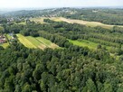 Działka leśna Zawada gm. Tarnów - 11