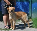 Elvis - 3