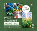Praca Holandia