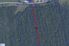 Las w Harklowej - 5378 m2 - 3