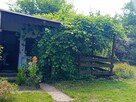Dzialka w Ogrodzie Rodzinnym Radom Jarzębinka - 5