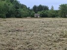 do sprzedaży działka bud. (0,9 ha.) ok. Krakowa - 4