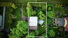 Urokliwa działka ROD pod lasem – 203 m² | Bez pośredników !! - 7