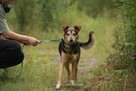 Roksi chciałaby w końcu uwierzyć, że człowiek potrafi kochać - 2