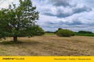 Działka rolna z dojazdem asfaltowym Brynica - 3