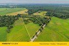 2,47 ha z WZ na 5 domów obok Ełku - 5