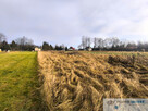 Działka Wielkie drogi, ul. Królewska - 2