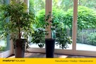 Dom z 7-metrowym salonem i pięknym ogrodem - 6