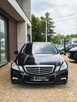 Mercedes E200 184km benzyna BIXENON skóra NAVI automat SERWIS 2010 - 6