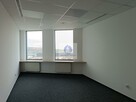 Lokal użytkowy Warszawa Śródmieście, Solec - 5