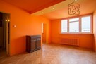 Ustawna kawalerka pet-friendly- Al. Włókniarzy 228 - 1