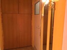 Ustawna kawalerka pet-friendly- Al. Włókniarzy 228 - 6