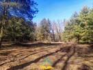 Działka budowlana Piskórka gm. Prażmów - 4