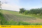 Działka siedliskowa w Krężcach koło Skierniewic - 4