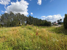 Działka budowlana Czołowo gm. Kórnik, - 4