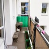 2-pokojowe mieszkanie na Pradze-Południe - 1