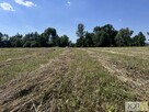 Działka Kupienin gm. Mędrzechów - 3