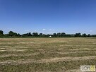 Działka Kupienin gm. Mędrzechów - 4