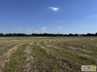 Działka Kupienin gm. Mędrzechów - 5