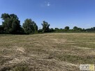 Działka Kupienin gm. Mędrzechów - 6