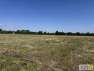 Działka Kupienin gm. Mędrzechów - 11