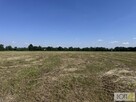 Działka Kupienin gm. Mędrzechów - 12