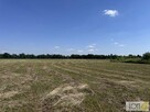 Działka Kupienin gm. Mędrzechów - 13