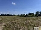 Działka Kupienin gm. Mędrzechów - 14