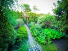 Urokliwa działka ROD pod lasem – 203 m² | Bez pośredników !! - 8