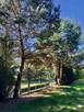 Działka z domem nad zal. Jeziorsko. Gotowa do zamieszkania. - 5