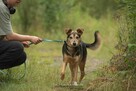 Roksi chciałaby w końcu uwierzyć, że człowiek potrafi kochać - 4