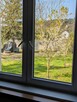 Wynajmę dom 40m² wraz z ogrodem 120m2 - 11