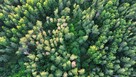 Usługi dronem - zdjęcia, filmy z lotu ptaka - 6