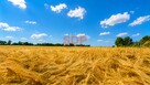 Działka budowlana Bratowice gm. Żórawina - 11