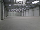 SPRZEDAŻ HALA 2900 m2 80 ar działka GORZÓW WLKP. - 2