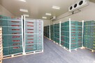 Chłodnia, magazyn 50-200 m² regały, wózek widłowy
